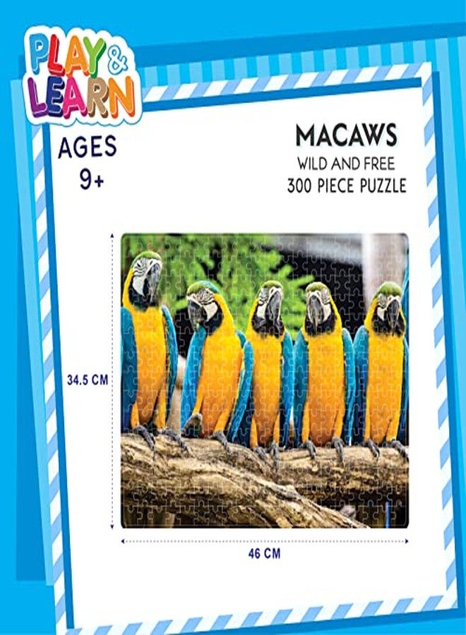 فنسكول لعبة أحجية تعليمية من فن سكول - ببغاوات المكاو، 300 قطعة، للأطفال من عمر 3 سنوات فما فوق - Image 5